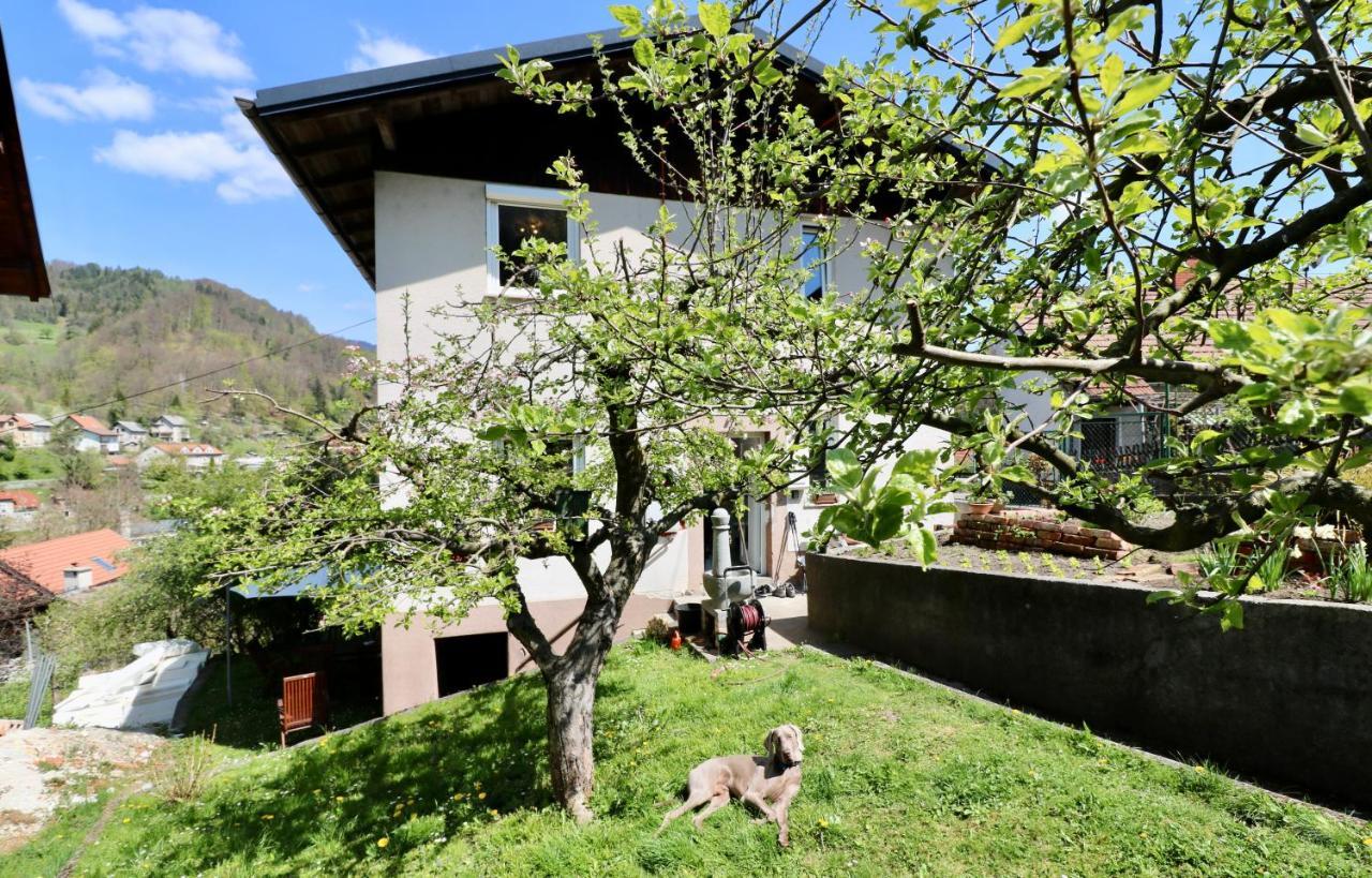 Bergmannhaus Villa Zagorje ob Savi Ngoại thất bức ảnh